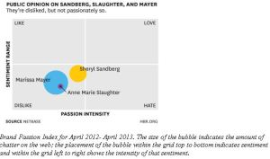 Public Opinion-Mayer-Sandberg-Slaughter
